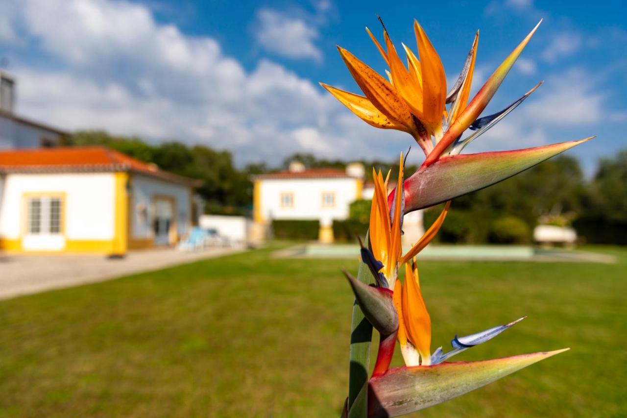 Quinta Do Pe Descalco Guesthouse Sintra Exterior foto